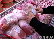 SI로 된서리 맞는 미국 돼지고기 시장