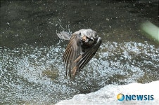 시원하게 목욕 잘 했다