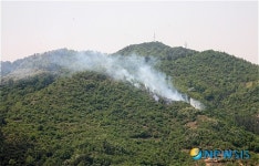 안강읍 청령리 산불 발생, 40여분 만에 진화