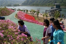 철쭉에 매혹된 관광객들