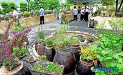 우리 들꽃 보러 오세요