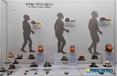 우리는 어디에서 왔나?