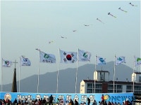 제천 종합운동장 하늘을 수놓은 나비줄연
