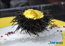 성게가 변했다!