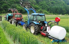 횡성군농업기술센터, 사료작물 시험 평가회