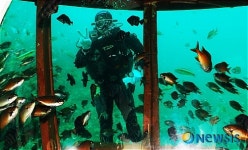 <송기자 여행사진>스쿠버다이버와 물고기