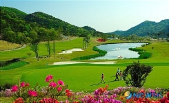 고창선운산CC서 생활체육대축전 골프 경기