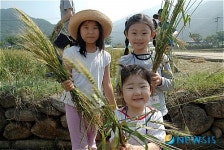 사조해표 우리밀밭체험