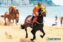 부경경마공원, 해운대 경주마 해변경주·승마체험