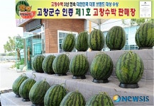 고창수박 인증 판매장