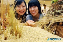 제철맞은 햇 보리!