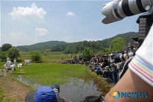 카메라가 몇 대야?