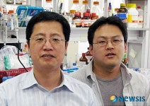 카이스트 펩타이드 자기조립 나노선·튜브 개발