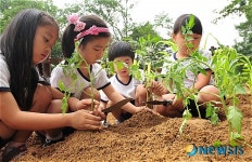 숲체험장에서 채소 직접 심어요