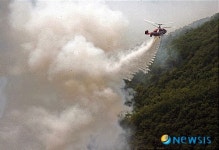 경주 안강 산불 0.6ha 산림 소실
