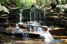 오투(O2)숲 산책로