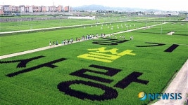 논에 새겨진 경기 쌀 사랑