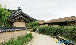 <유기자 여행사진>선비촌 길 따라