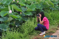 연꽃 촬영에 열중인 어린이 카메라맨