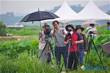 빅토리아 연꽃 촬영하는 사진가들