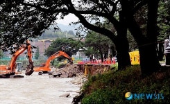 떠내려간 벚나무는 어떡하나?
