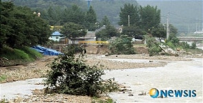 처참한 벚꽃 관광지