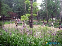 녹음방초 뽐내는 남산길