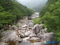 무릉계곡, 한국의 아름다운 하천 100선 선정