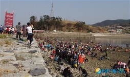 바닷길 축제가 한창인 보물섬 남해 지족 갯마을