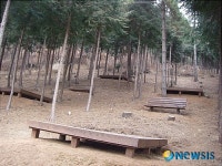 고성 갈모봉 산림욕장