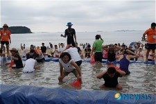 신비한바닷길축제 맨손으로 고기잡는 관광객들