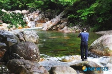 <송기자 여행사진>대원사 계곡에서 무더위 날린다