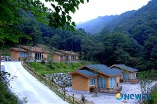 증평 좌구산 자연휴양림 개장