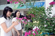 서초구, 화훼작품 전시회 개최