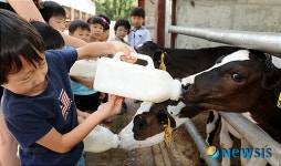 <여름목장체험>배부르게 많이 먹어!