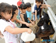 <여름목장체험>와! 잘먹는다