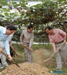 이명박 대통령 친환경 참다래 농장 방문