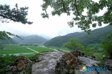 8월의 가볼만한 곳-봉황대에서 바라본 풍경