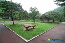 8월의 가볼만한 곳-벽계야영장