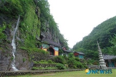 8월의 가볼만한 곳-봉황산에 기대어 있는 일붕사