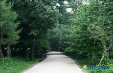 8월의 가볼만한 곳-서삼릉의 길