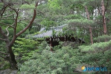 8월의 가볼만한 곳-용호정 정자
