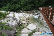 8월의 가볼만한 곳-육모정과 탐방로 다리