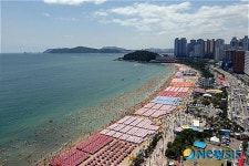 해운대 피서객 100만