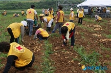 새터민과 감자캐기