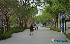 <서울 지도가 바뀐다>⑦서울 거리 디자인이 바뀐다…걷고싶은 거리로