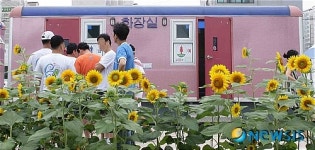 해바라기와 임시화장실
