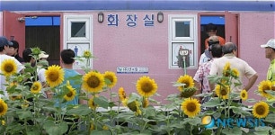 화장실앞에서 해바라기 웃다