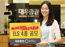 주식회사 신진홀딩스(4종) | 대우증권, 최고 연 26% ELS 4종 공모