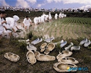 고성농요 중국 강소성 공연